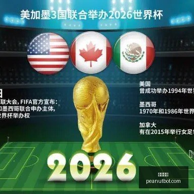 伊万率队,阵型中场制,五场比赛全,开云官网,开云体育,开云全站,开云入口,开云代理