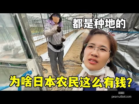 西蒙斯独木,难支,开拓者,开云官网,开云体育,开云全站,开云入口,开云代理