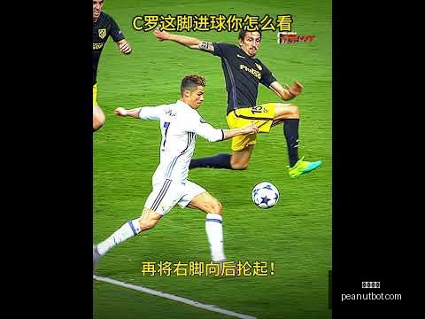南非公开赛,卡特与奈杜,并驾齐驱,开云官网,开云体育,开云全站,开云入口,开云代理