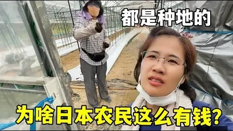 西蒙斯独木难支，开拓者25分横扫黄蜂，鲍尔低迷10中1止步四连胜